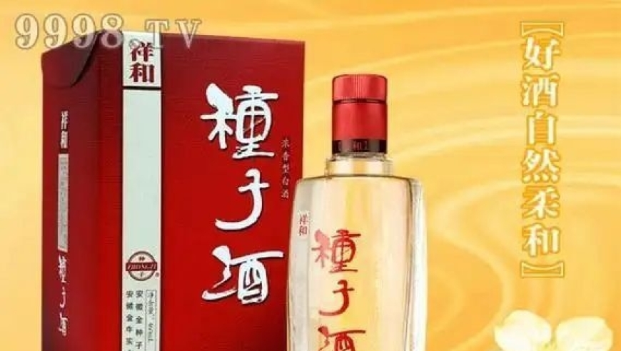 一觉醒来爷爷先用后付下单54件商品,新澳管家婆精准资料网,前瞻性战略落实探讨_户外版V13.87